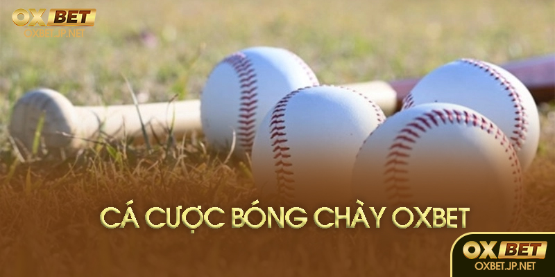 Cá cược bóng chày là gì