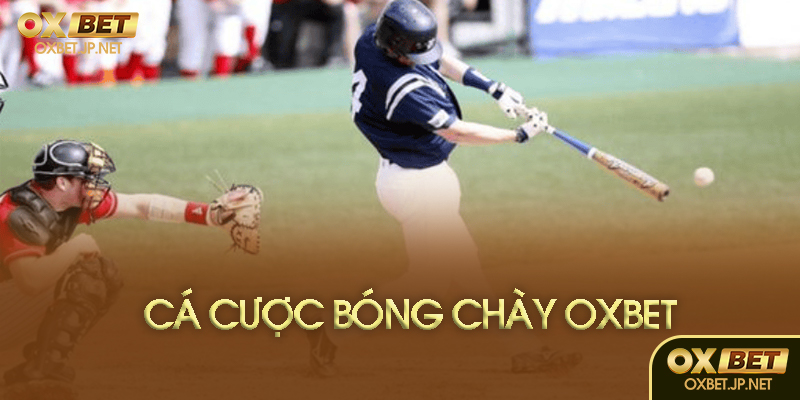 Hướng dẫn chơi tại Oxbet