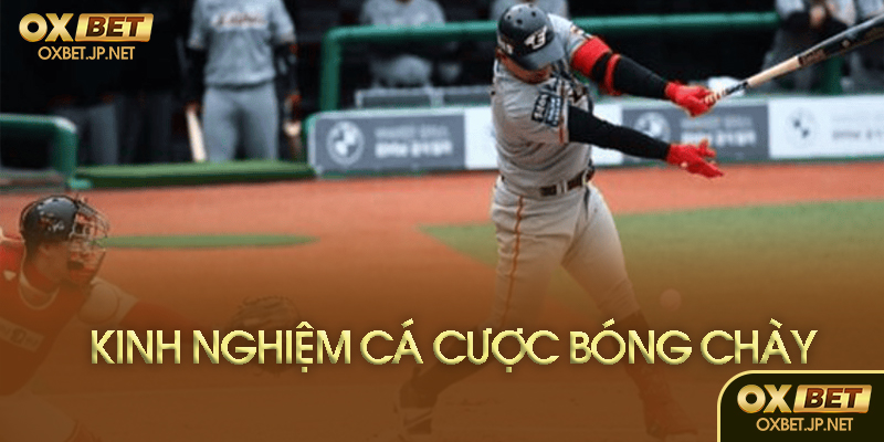 Những giải đấu lớn nên cược