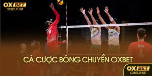 Cá cược bóng chuyền là gì