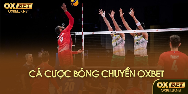 Cá cược bóng chuyền là gì