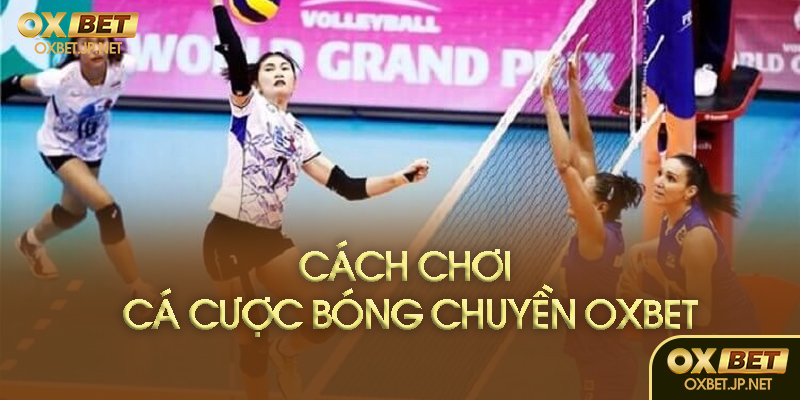 Hướng dẫn đặt cược