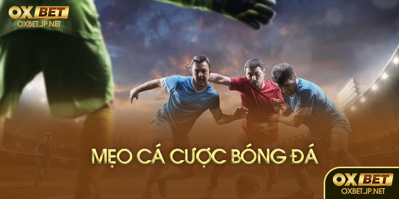 Cá cược bóng đá an toàn