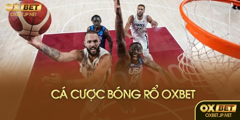 Hướng dẫn cá cược tại Oxbet