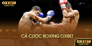 Cá cược boxing là gì