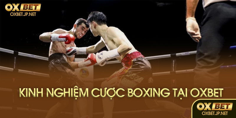 Ưu điểm khi cược tại Oxbet