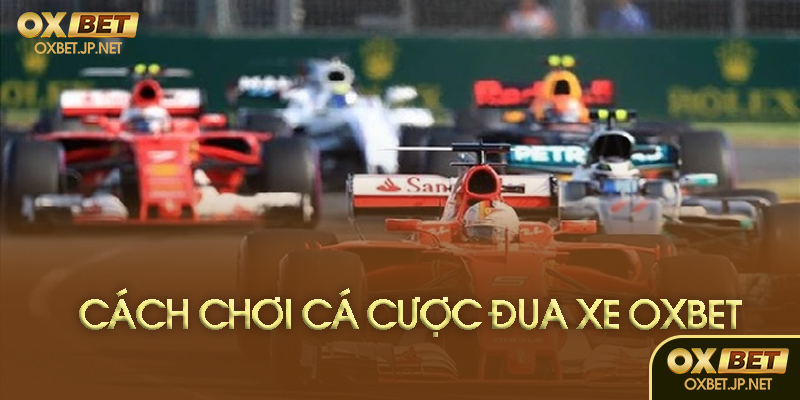 Hình thức cá cược tại Oxbet