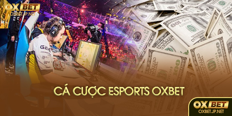 Cá cược Esports là gì