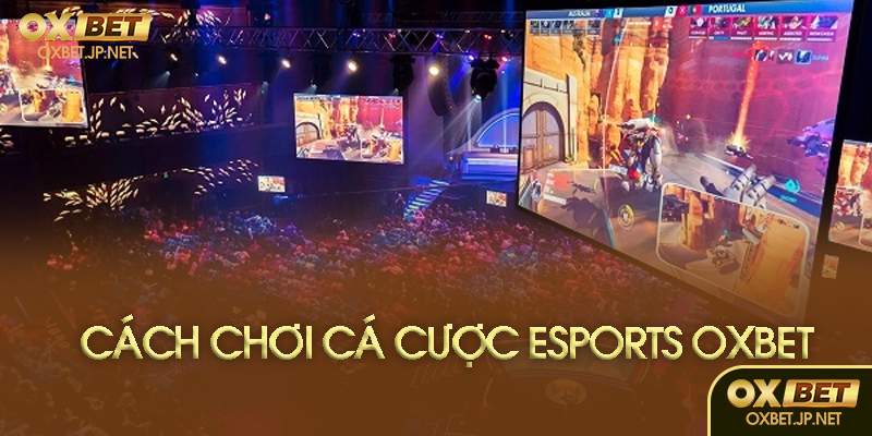 Mẹo cá cược Esports hiệu quả