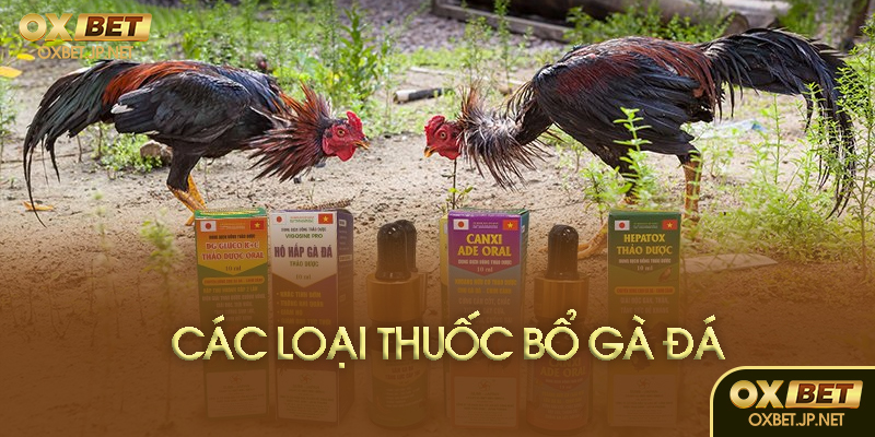 Giới thiệu thuốc bổ cho gà đá