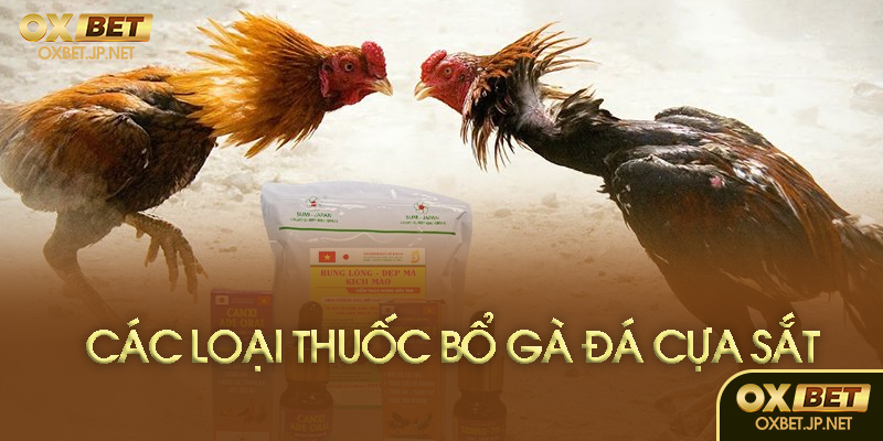 Hướng dẫn sử dụng hiệu quả