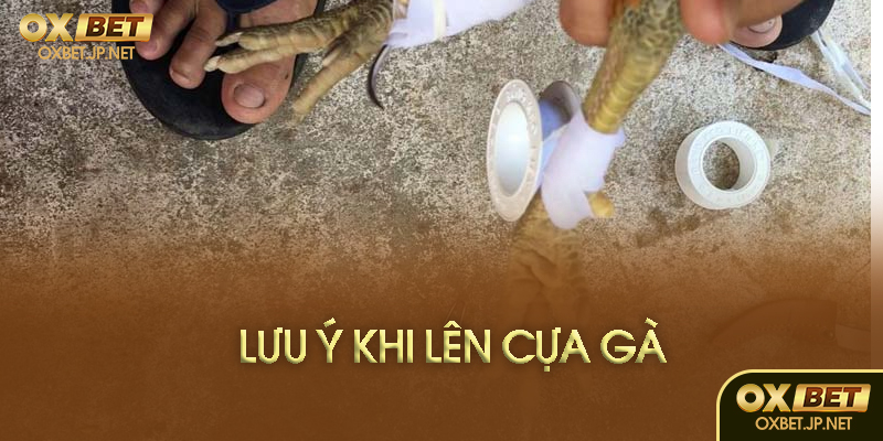 Lưu ý khi lên cựa