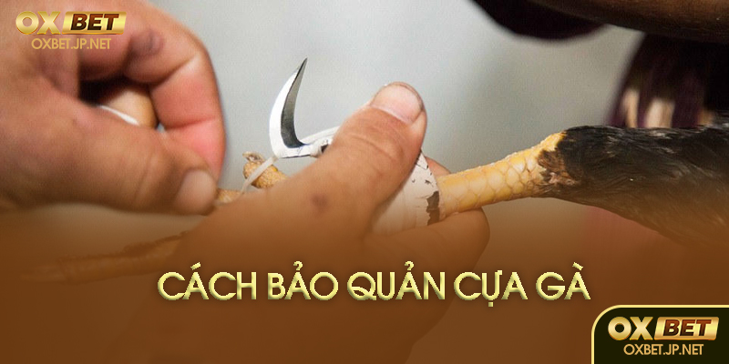 Cách bảo quản cựa gà