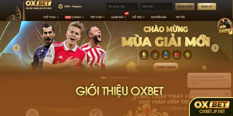 Giao diện Oxbet hiển thị rõ ràng