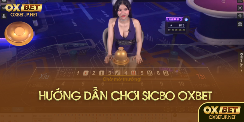 Hướng dẫn chơi trên Oxbet