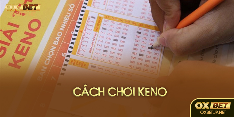 Cách chơi Keno tại Oxbet
