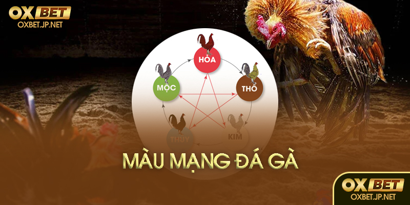 Màu mạng đá gà là gì