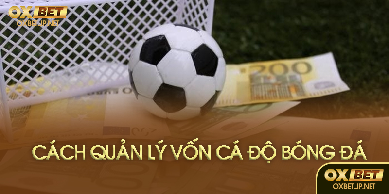 Quản lý vốn là gì