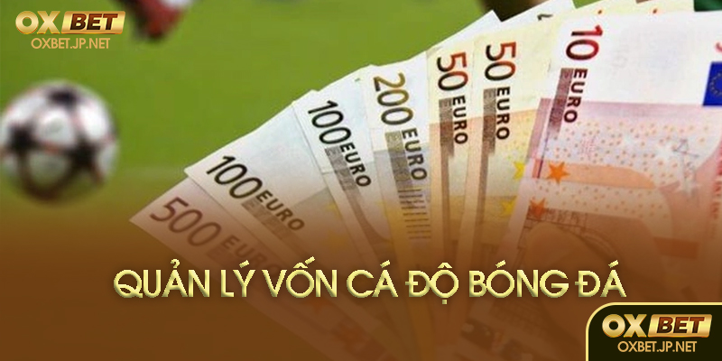 Lời khuyên từ chuyên gia Oxbet
