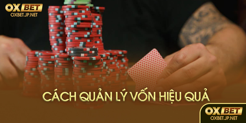 Lời khuyên từ Oxbet