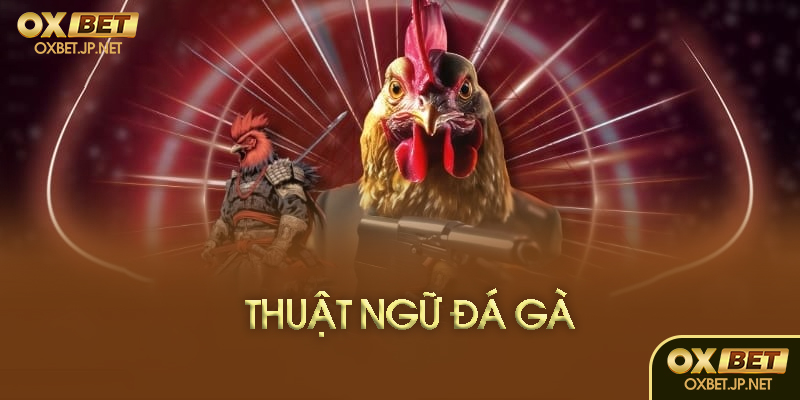 Thuật ngữ đá gà là gì