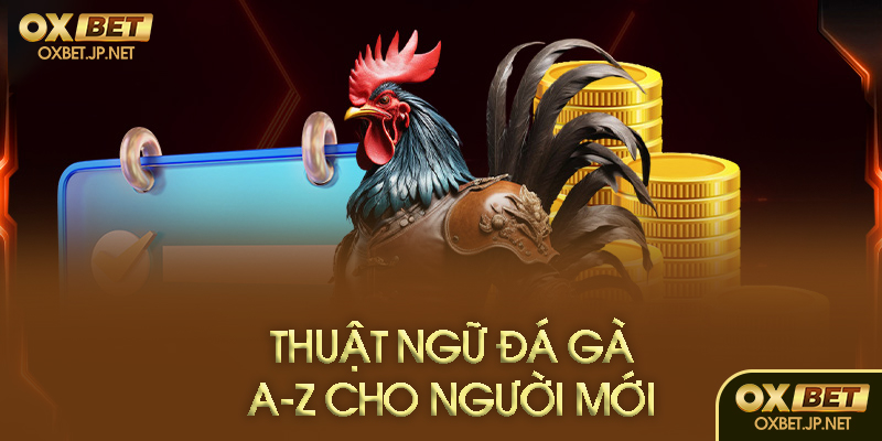 Thuật ngữ cơ bản thường gặp