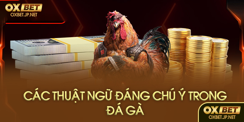 Thuật ngữ khi thi đấu