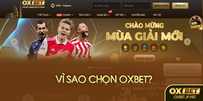Vì sao nên chọn Oxbet?